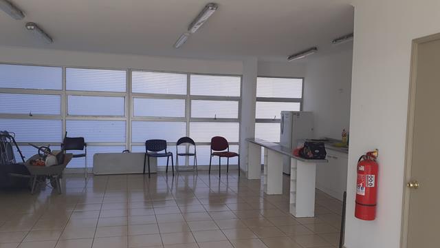 14 (Copy)